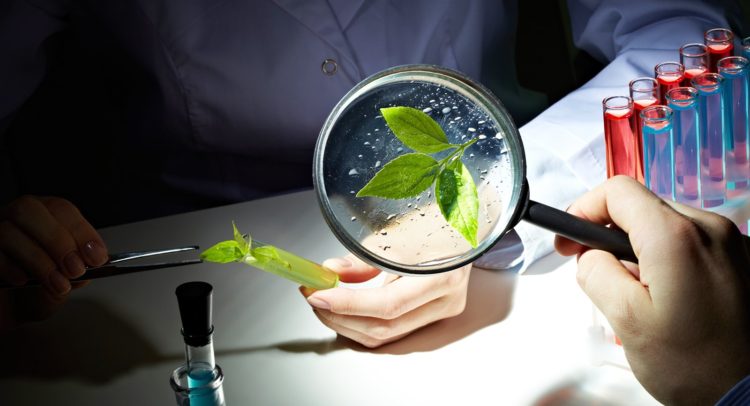Innovation in Ayurveda